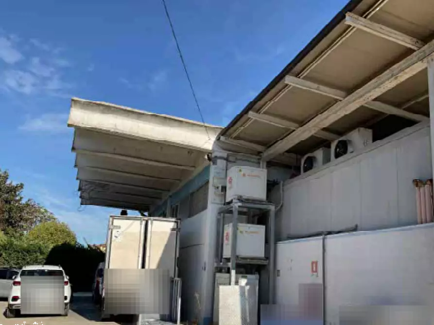 Immagine 5 di Laboratorio in vendita  in Via Cesure a Castel D'ario