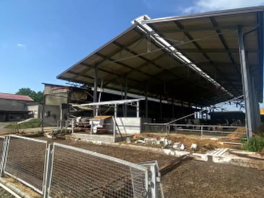 Immagine 5 di Appartamento in vendita  in Via Bruno Buozzi a Bagnolo San Vito