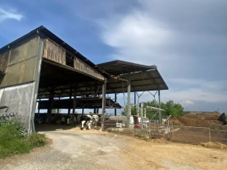 Immagine 6 di Appartamento in vendita  in Via Bruno Buozzi a Bagnolo San Vito