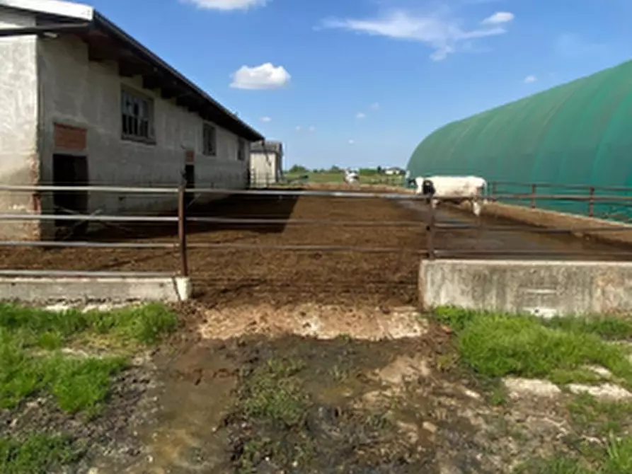 Immagine 13 di Appartamento in vendita  in Via Bruno Buozzi a Bagnolo San Vito