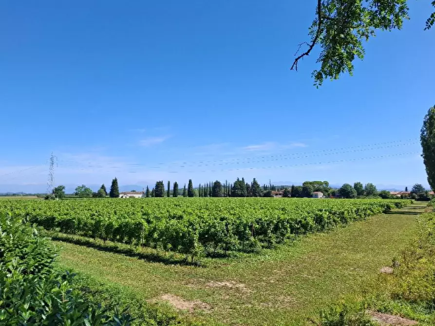Immagine 2 di Terreno agricolo in vendita  in Viale Palmanova a Romans D'isonzo