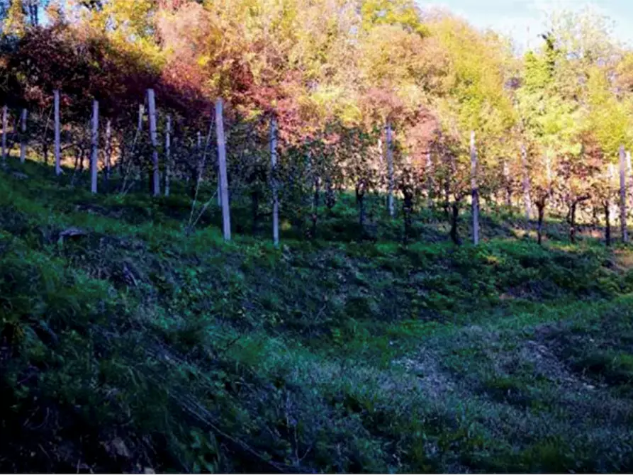 Immagine 5 di Rustico / casale in vendita  in Via Mire Alte a Refrontolo