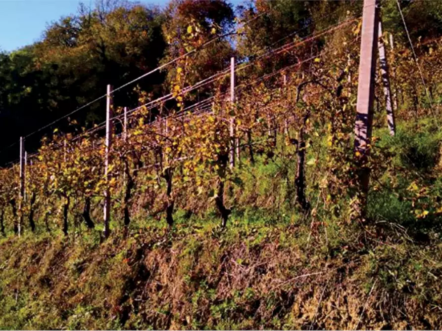 Immagine 14 di Rustico / casale in vendita  in Via Mire Alte a Refrontolo