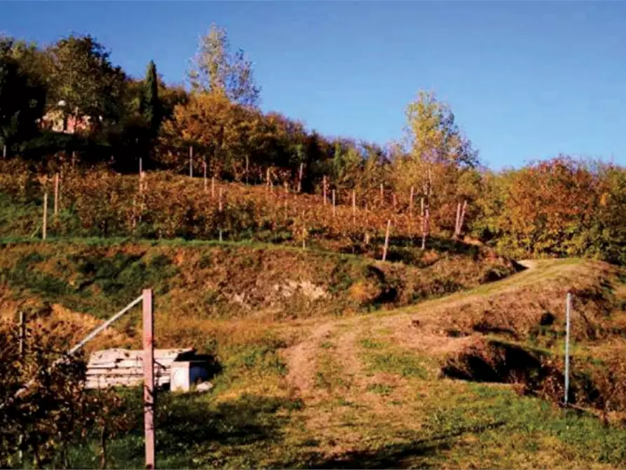 Immagine 15 di Rustico / casale in vendita  in Via Mire Alte a Refrontolo