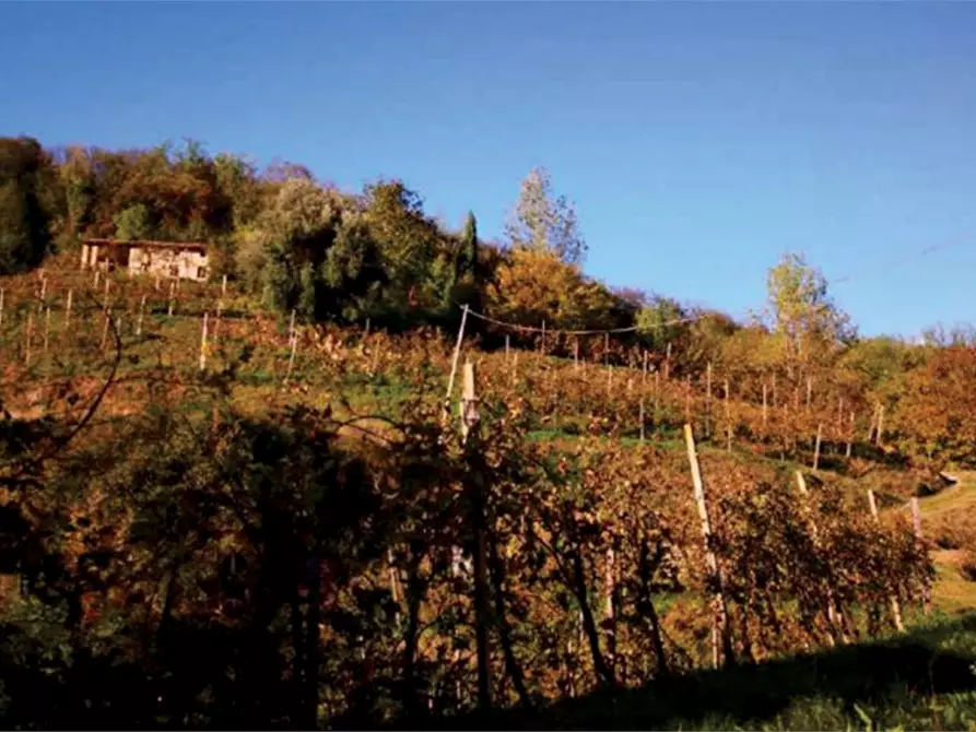 Immagine 16 di Rustico / casale in vendita  in Via Mire Alte a Refrontolo