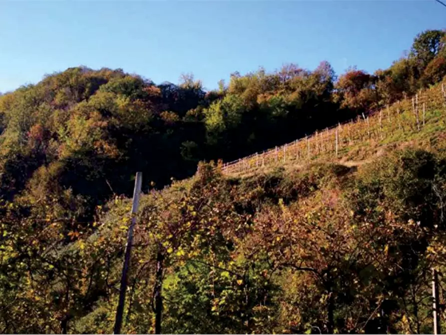 Immagine 17 di Rustico / casale in vendita  in Via Mire Alte a Refrontolo
