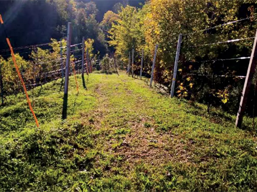 Immagine 18 di Rustico / casale in vendita  in Via Mire Alte a Refrontolo