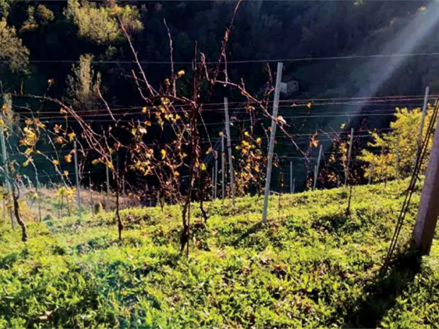 Immagine 19 di Rustico / casale in vendita  in Via Mire Alte a Refrontolo