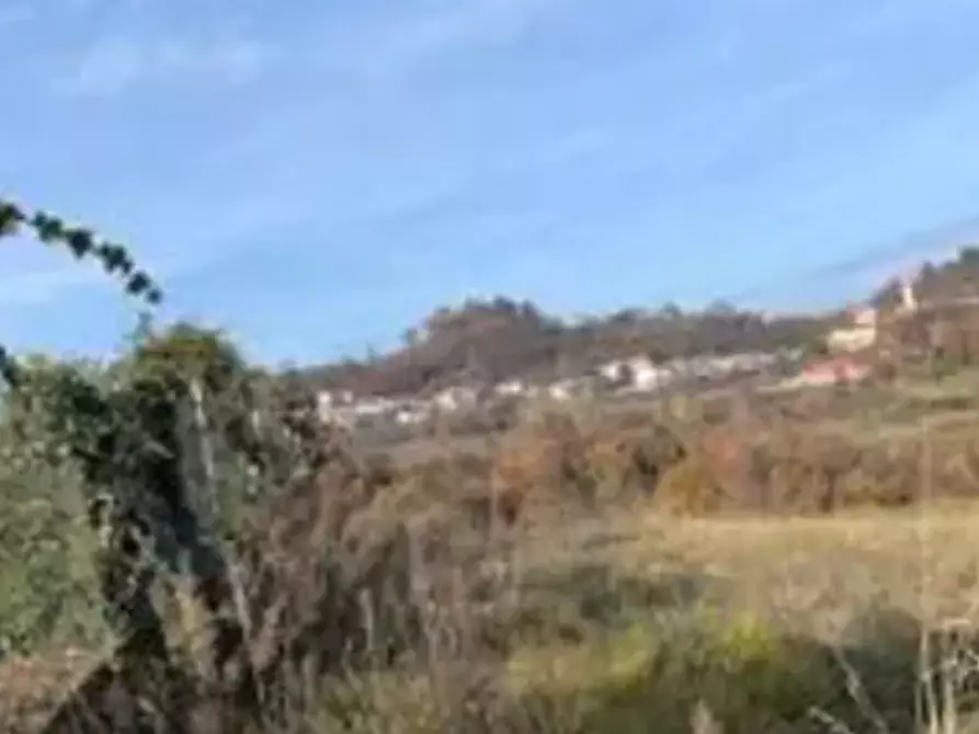 Immagine 2 di Terreno agricolo in vendita  in Località Montecchio Maggiore a Montecchio Maggiore