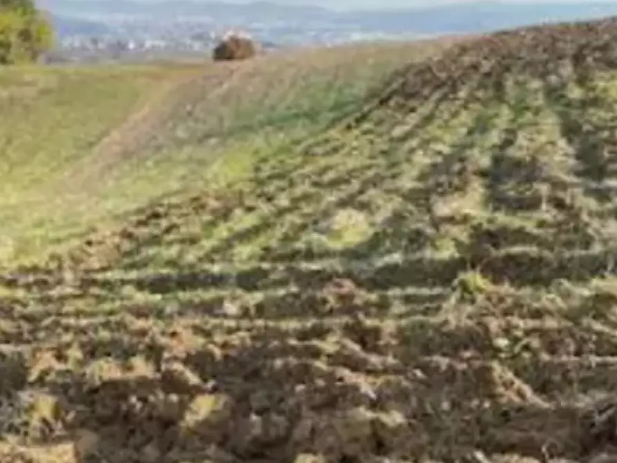 Immagine 3 di Terreno agricolo in vendita  in Località Montecchio Maggiore a Montecchio Maggiore