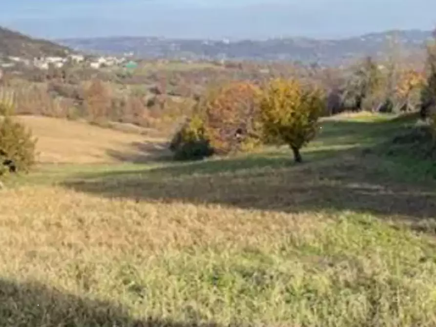 Immagine 4 di Terreno agricolo in vendita  in Località Montecchio Maggiore a Montecchio Maggiore