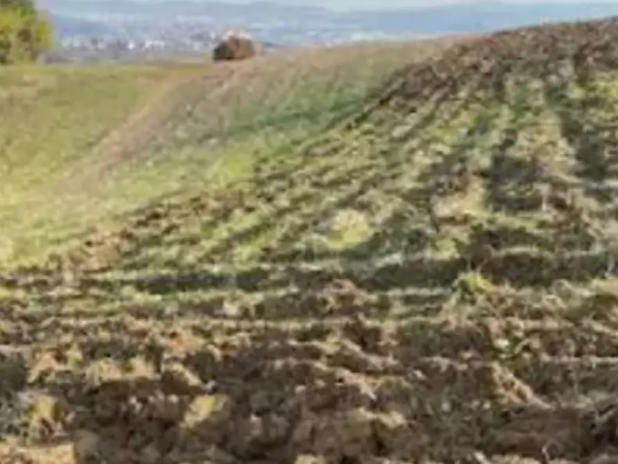 Immagine 6 di Terreno agricolo in vendita  in Località Montecchio Maggiore a Montecchio Maggiore