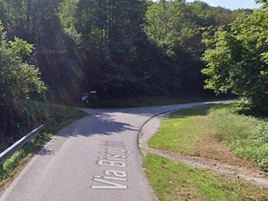 Immagine 5 di Terreno edificabile in vendita  in Via Bisighini a Valli Del Pasubio
