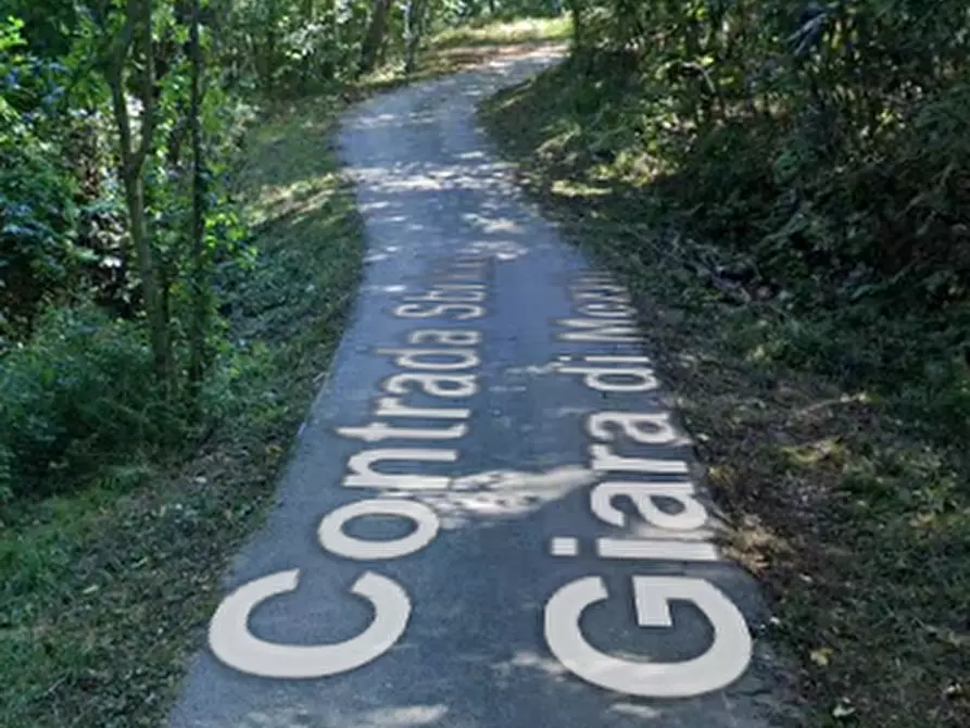 Immagine 4 di Terreno agricolo in vendita  in Contrada Sbricci Giara di Mezzo a Valdagno