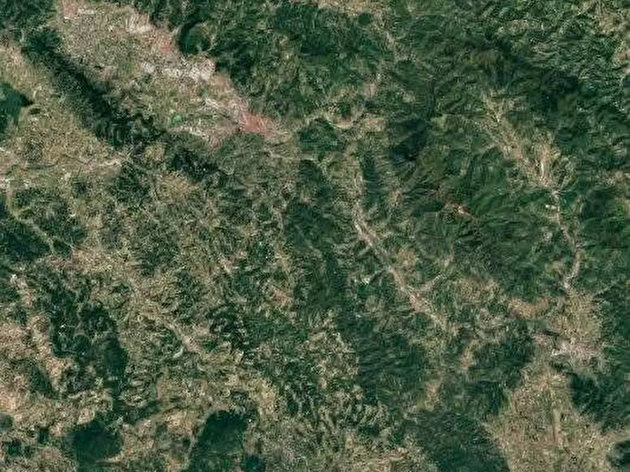 Immagine 5 di Terreno agricolo in vendita  in Sez. Figline Valdarno a Figline Valdarno