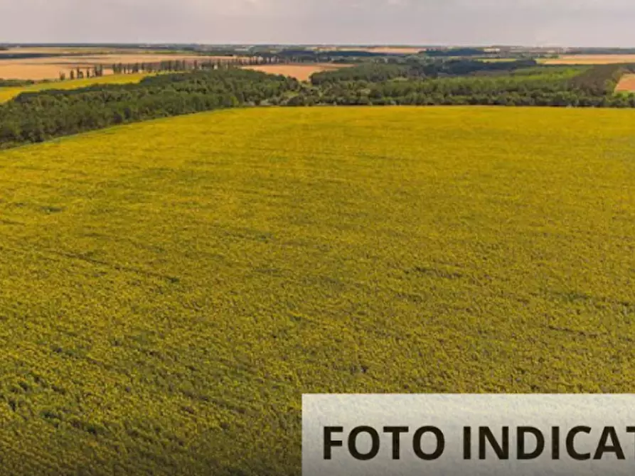 Immagine 8 di Magazzino in vendita  in Via delle Capanne  a Pistoia