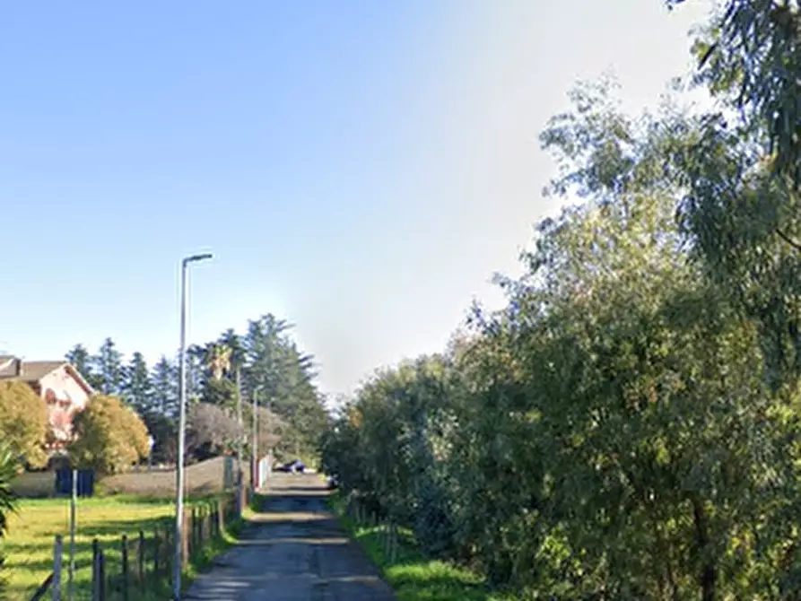 Immagine 15 di Casa indipendente in vendita  in Via Giovanni Gregorio Mendel a Roma