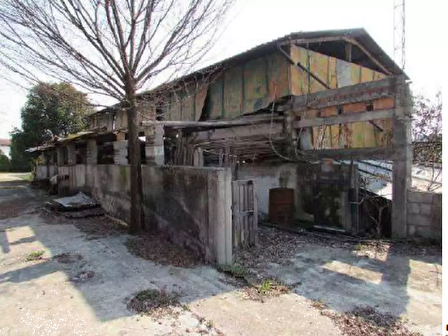 Immagine 7 di Rustico / casale in vendita  in via Camerin a Colle Umberto