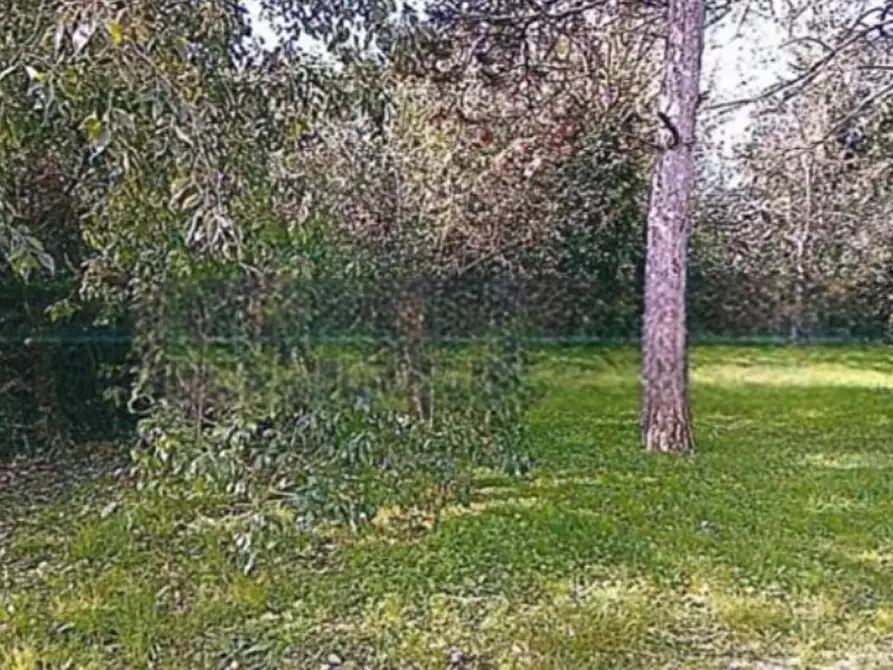 Immagine 12 di Porzione di casa in vendita  in Via veneto a Ariano Nel Polesine