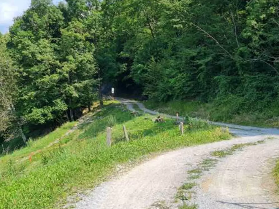 Immagine 6 di Terreno agricolo in vendita  in Via Camarelli a San Giovanni Bianco