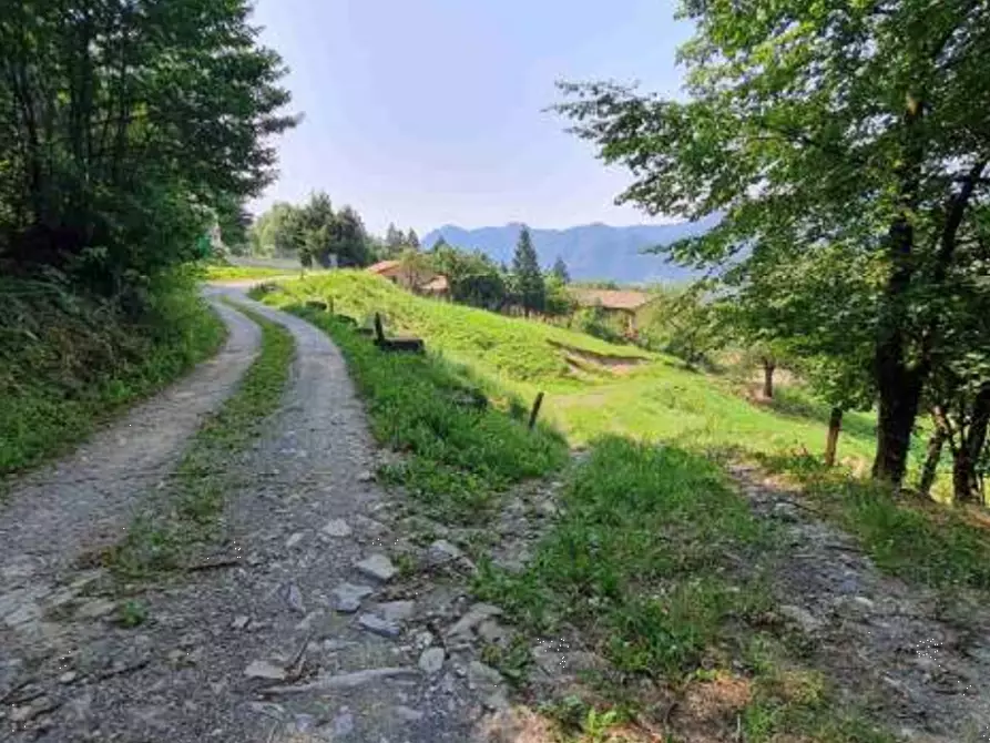 Immagine 7 di Terreno agricolo in vendita  in Via Camarelli a San Giovanni Bianco