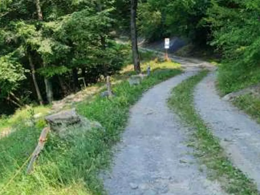 Immagine 8 di Terreno agricolo in vendita  in Via Camarelli a San Giovanni Bianco