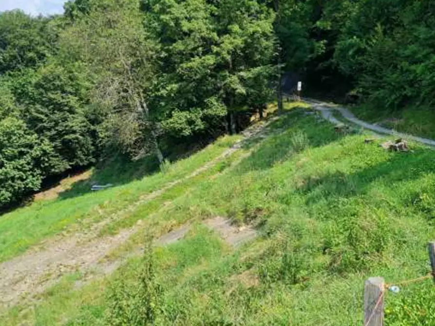 Immagine 9 di Terreno agricolo in vendita  in Via Camarelli a San Giovanni Bianco
