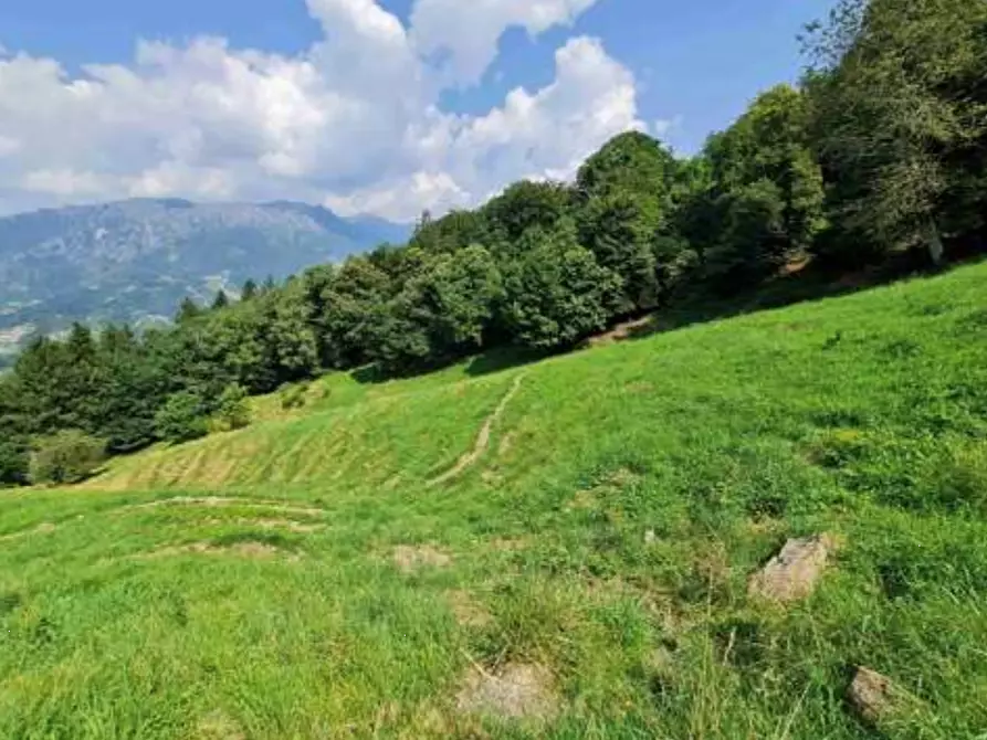 Immagine 10 di Terreno agricolo in vendita  in Via Camarelli a San Giovanni Bianco
