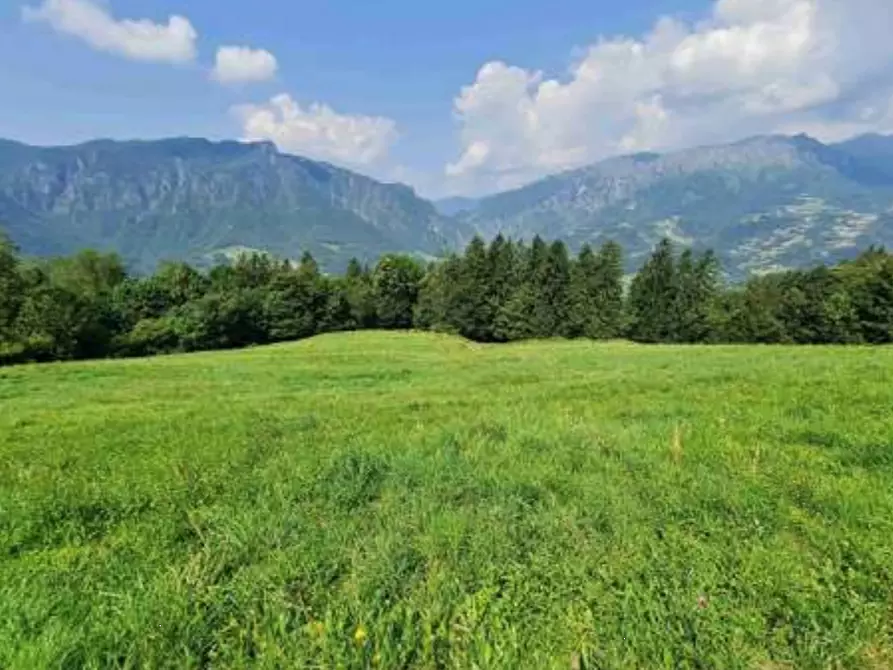 Immagine 12 di Terreno agricolo in vendita  in Via Camarelli a San Giovanni Bianco