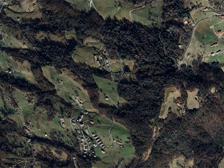 Immagine 15 di Terreno agricolo in vendita  in Via Camarelli a San Giovanni Bianco