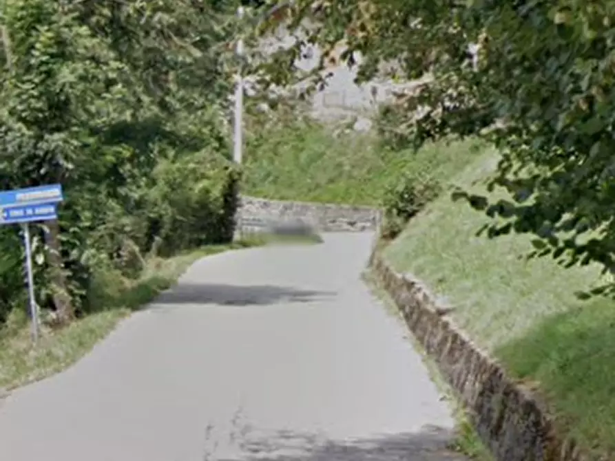 Immagine 7 di Terreno agricolo in vendita  in Via Camarelli a San Giovanni Bianco