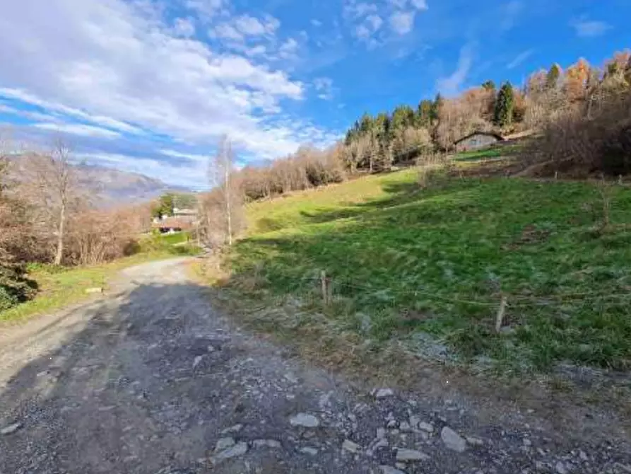 Immagine 3 di Terreno agricolo in vendita  in Via Camarelli a San Giovanni Bianco