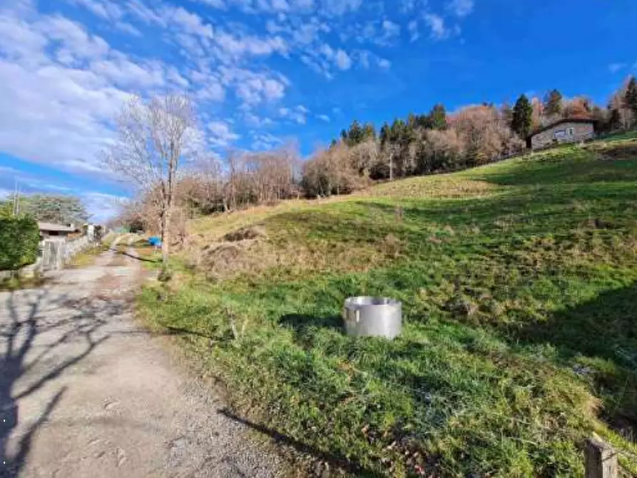 Immagine 6 di Terreno agricolo in vendita  in Via Camarelli a San Giovanni Bianco