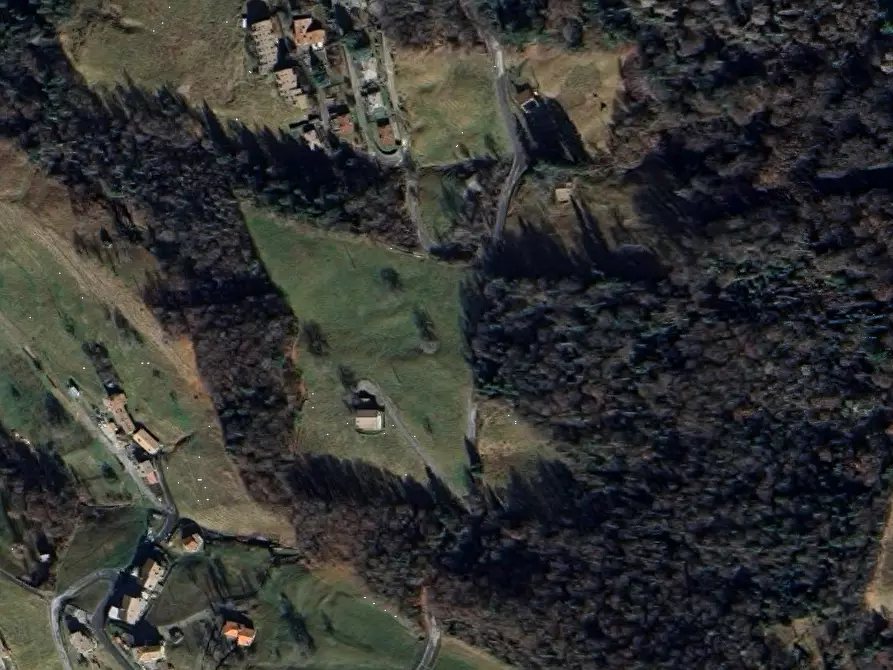 Immagine 11 di Terreno agricolo in vendita  in Via Camarelli a San Giovanni Bianco