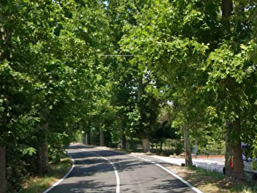 Immagine 4 di Porzione di casa in vendita  in Via Ferrara a Ostellato