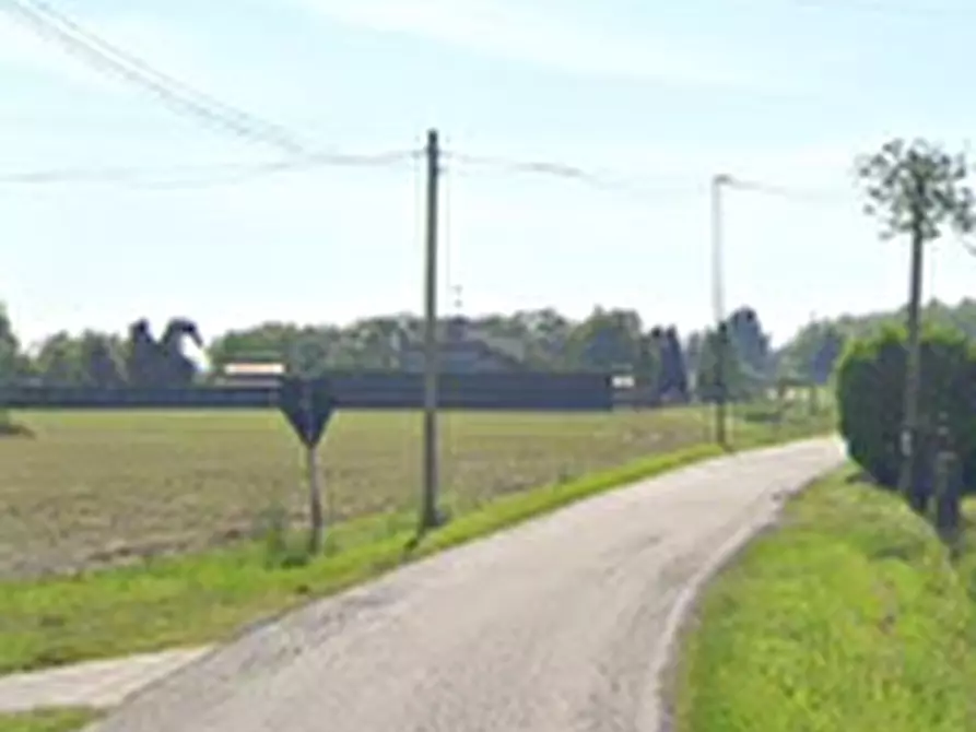 Immagine 5 di Porzione di casa in vendita  in Via Argine Vegri a Castelmassa