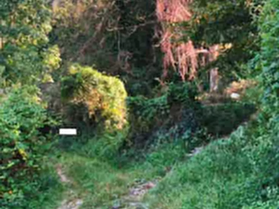 Immagine 2 di Terreno agricolo in vendita  in Località Carobbio degli Angeli a Carobbio Degli Angeli