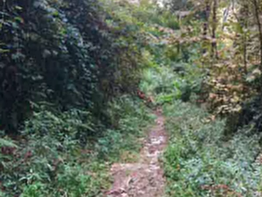 Immagine 3 di Terreno agricolo in vendita  in Località Carobbio degli Angeli a Carobbio Degli Angeli