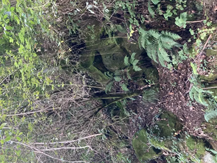 Immagine 4 di Terreno agricolo in vendita  in Località Carobbio degli Angeli a Carobbio Degli Angeli