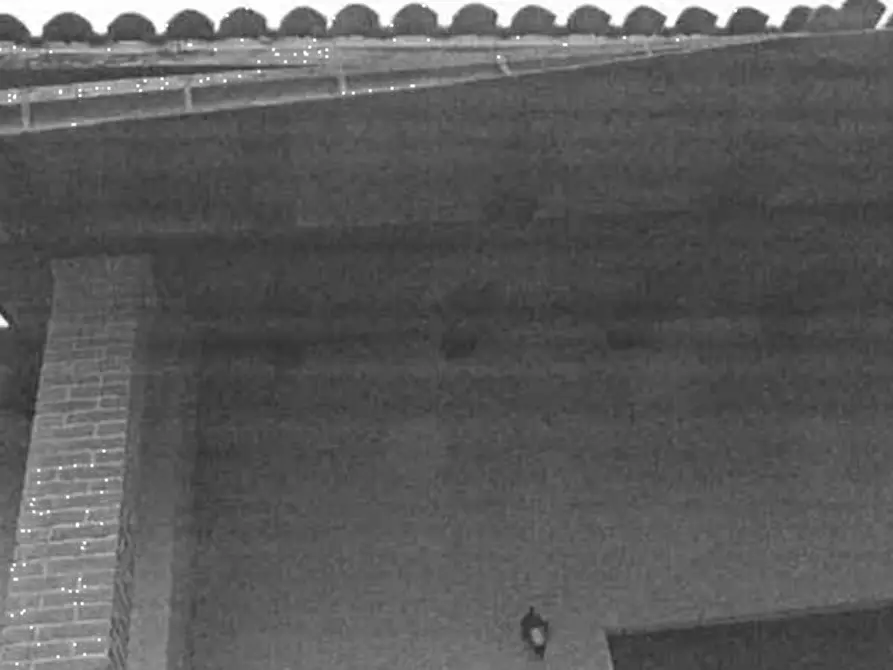 Immagine 6 di Villa in vendita  in Via Don Giovanni Biancotti  a Castelnuovo Don Bosco