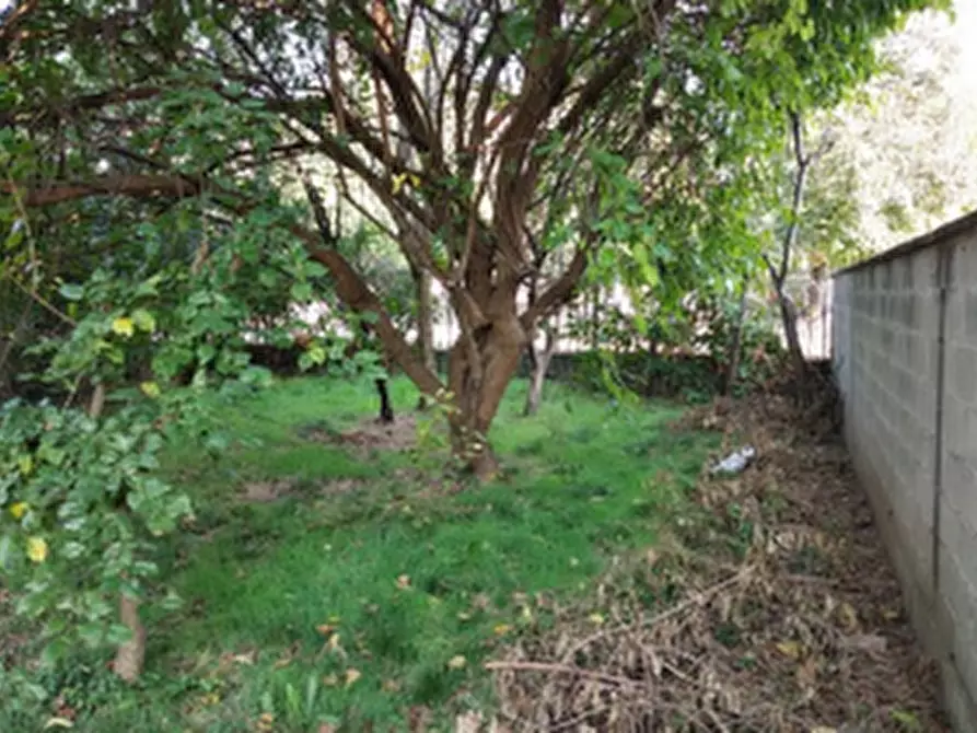 Immagine 9 di Appartamento in vendita  in Via Antonio Locatelli a Bariano