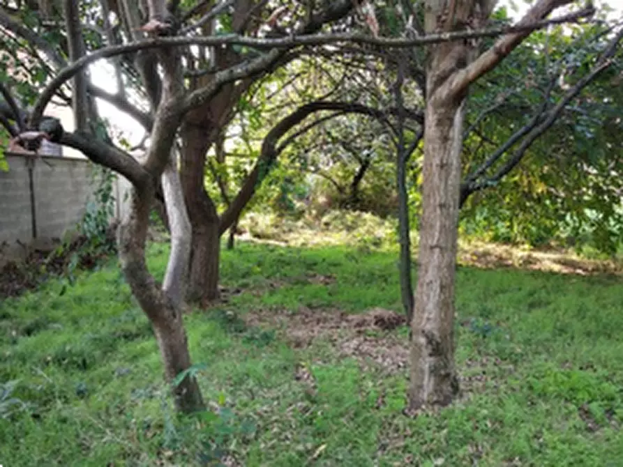 Immagine 10 di Appartamento in vendita  in Via Antonio Locatelli a Bariano