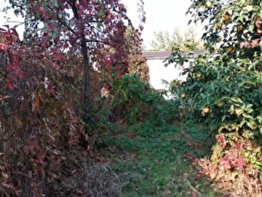 Immagine 11 di Appartamento in vendita  in Via Antonio Locatelli  a Bariano