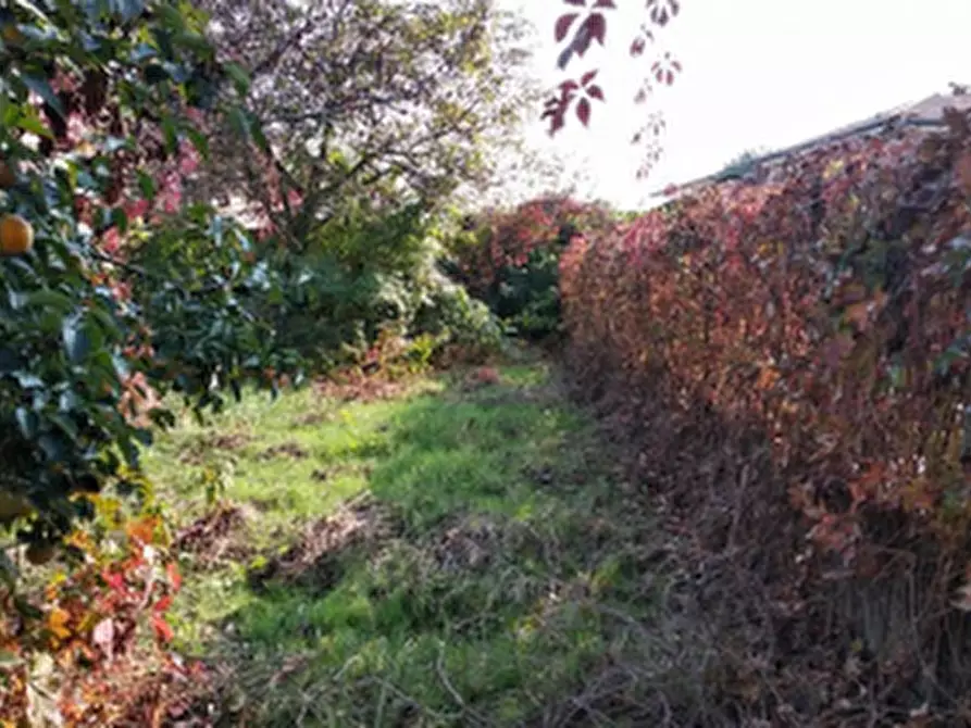 Immagine 12 di Appartamento in vendita  in Via Antonio Locatelli  a Bariano