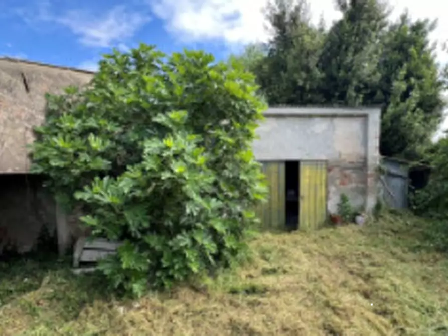 Immagine 4 di Casa indipendente in vendita  in Via Arginone Inferiore a Gavello