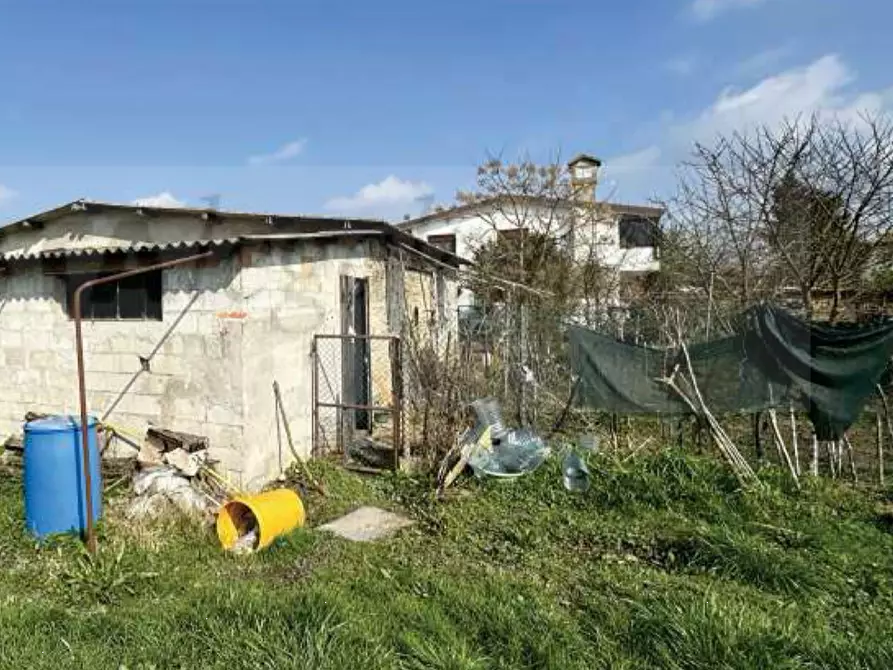 Immagine 4 di Negozio in vendita  in Via Marchi a Taglio Di Po