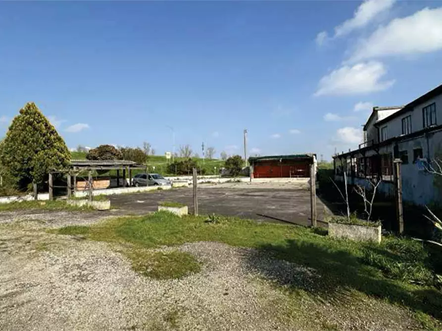 Immagine 9 di Negozio in vendita  in Via Marchi a Taglio Di Po