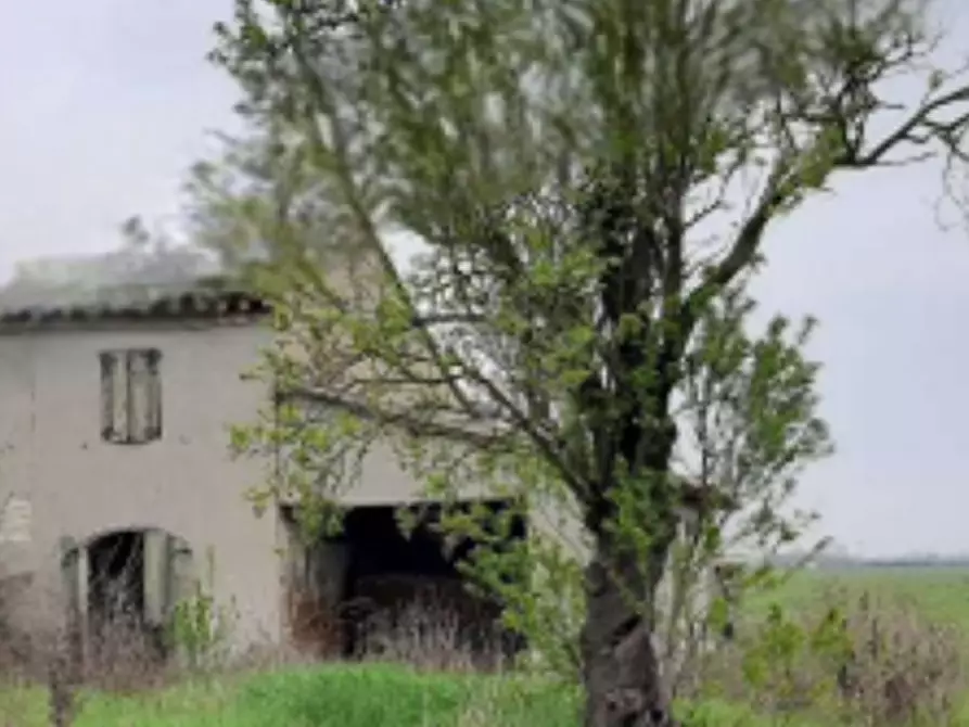 Immagine 2 di Rustico / casale in vendita  in Via Bagnolo Salara a Ravenna