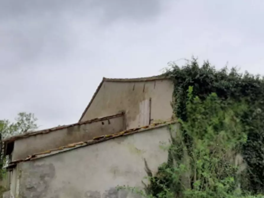 Immagine 4 di Rustico / casale in vendita  in Via Bagnolo Salara a Ravenna