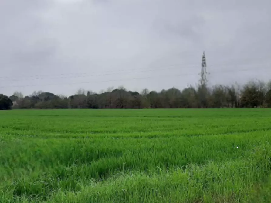 Immagine 6 di Rustico / casale in vendita  in Via Bagnolo Salara a Ravenna